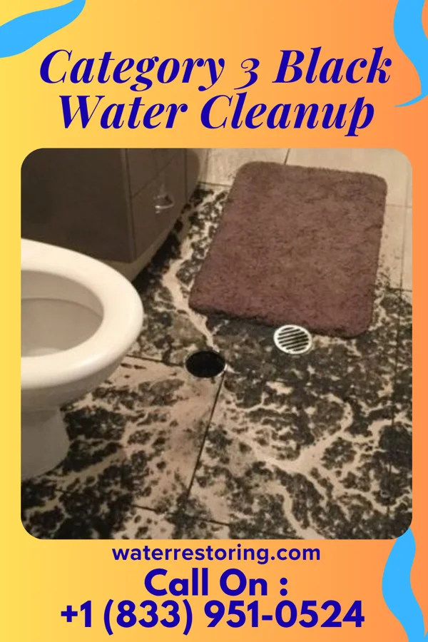 Category 3 Black Water Cleanup in Massanetta Springs, VA