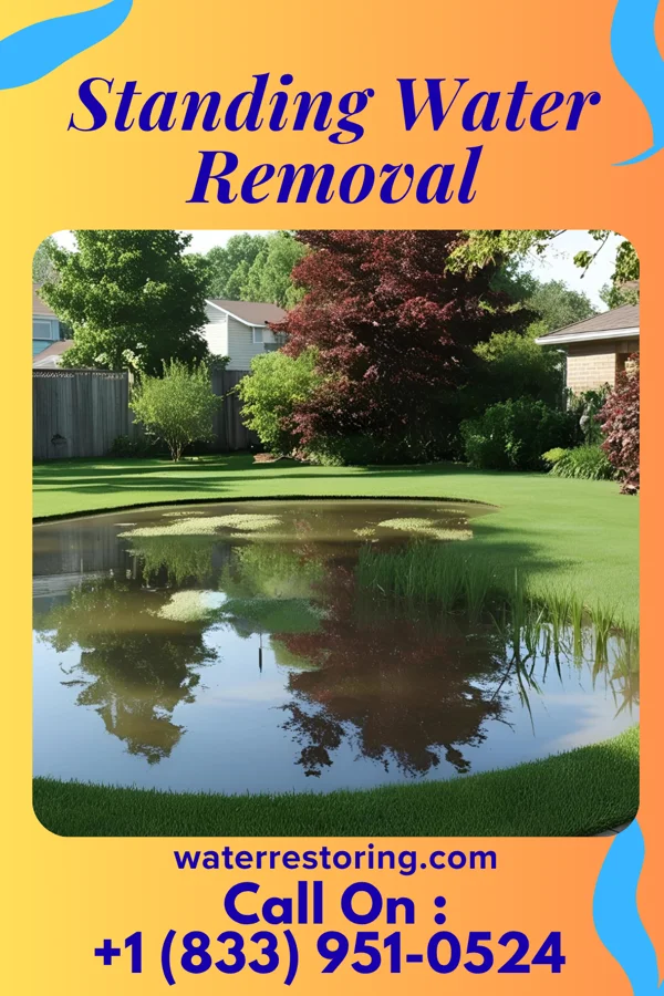 Standing Water Removal in Massanetta Springs, VA